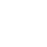 FLUX Dev